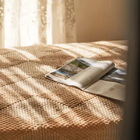 Le Dauphin By Interhome Vakantiehuis Dinard
